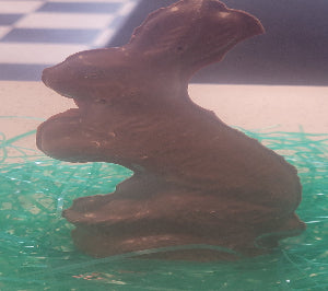 Bunny on Basket